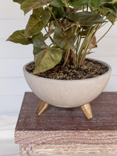 maceta-para-plantas-en-concreto-con-patas-de-madera-planta-de-interior-purificadora-de-aire-decoracion-con-plantas-jardineria-en-casa-habibi-plantitas.jpg